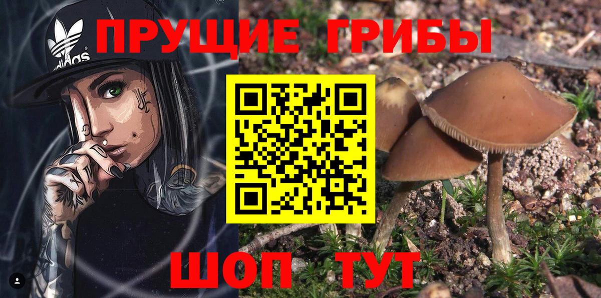 Галлюциногенные грибы Cubensis  Вход с VPN  Калининград 