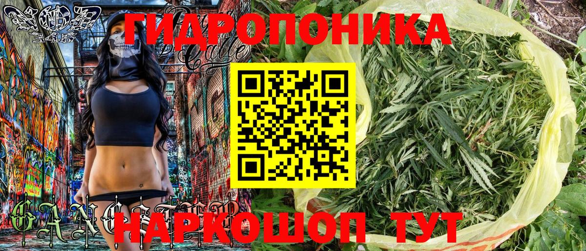 Каннабис конопля  Бошки Шишки гибрид  Калининград  Вход с VPN  Бошки марихуана планчик 